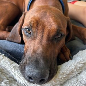 Meet your Posher, Kennedy